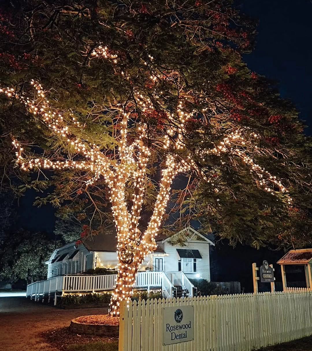 Fairy-light tree installation